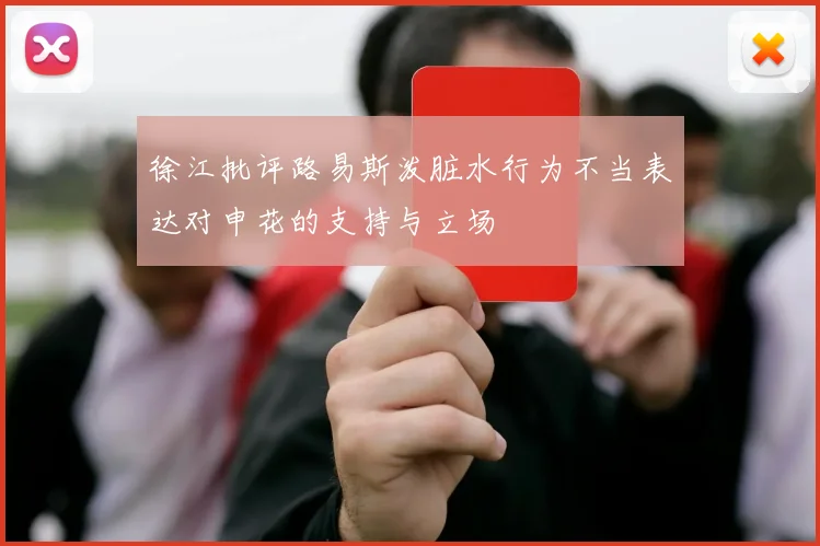 徐江批评路易斯泼脏水行为不当表达对申花的支持与立场