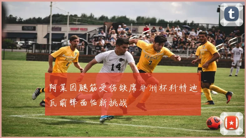 阿莱因腿筋受伤缺席非洲杯科特迪瓦前锋面临新挑战