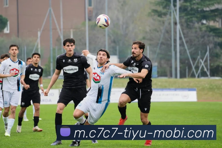 C7C7娱乐发展历程